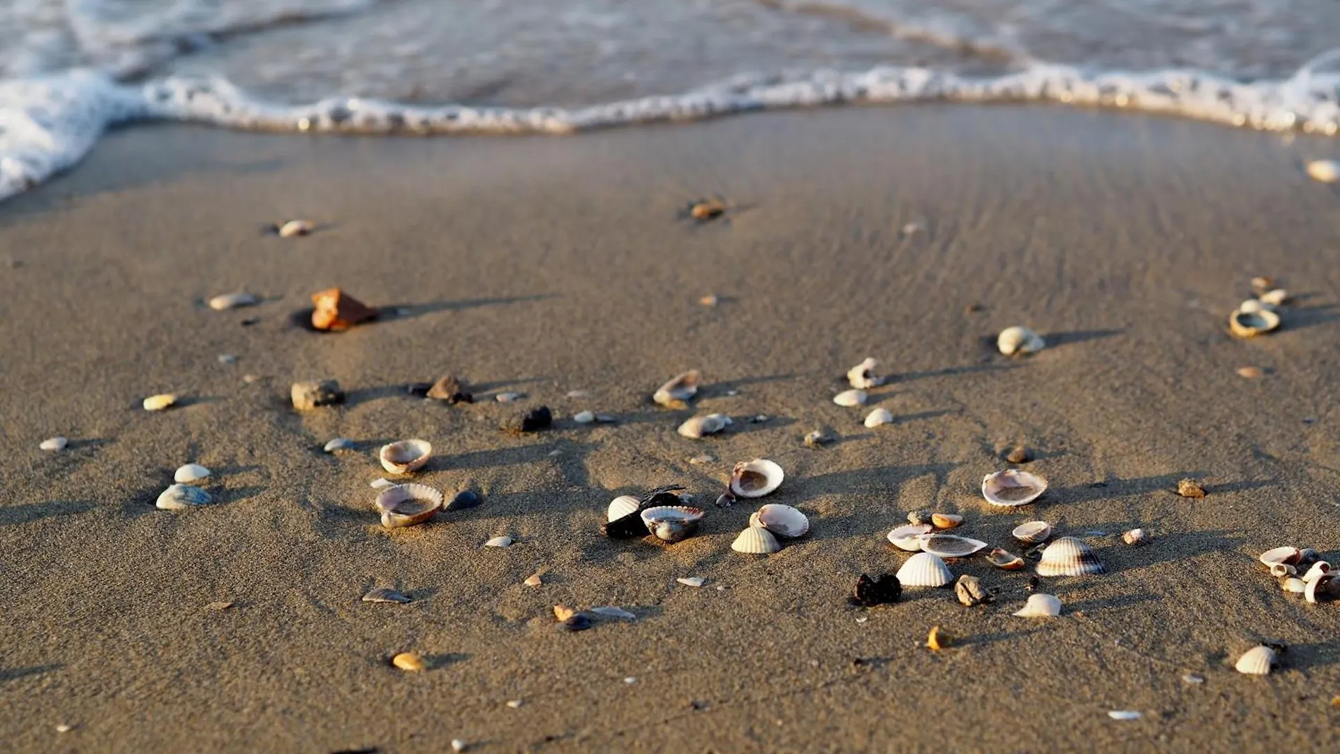 Nice Apartment In A Quiet Area Close To The Beach Bibione